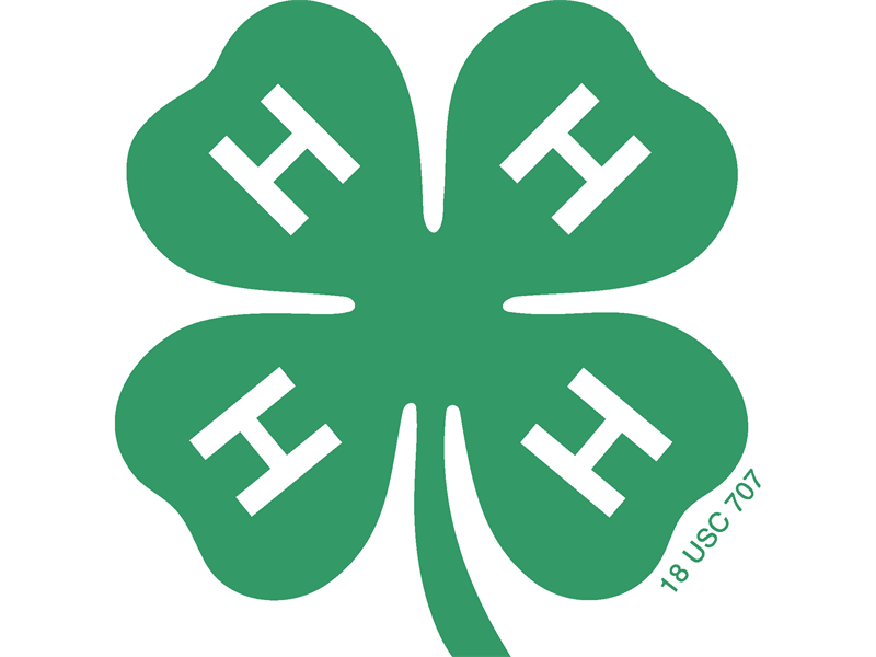 Logo for 2024 Brown County 4-H Fair